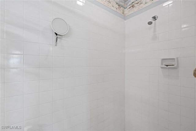 room details featuring a tile shower