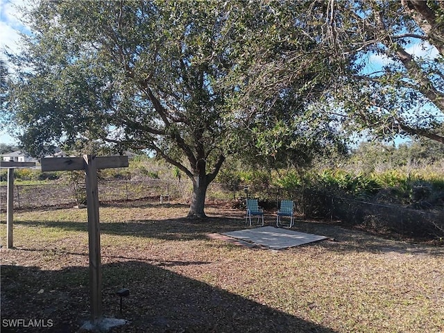 view of yard featuring a patio