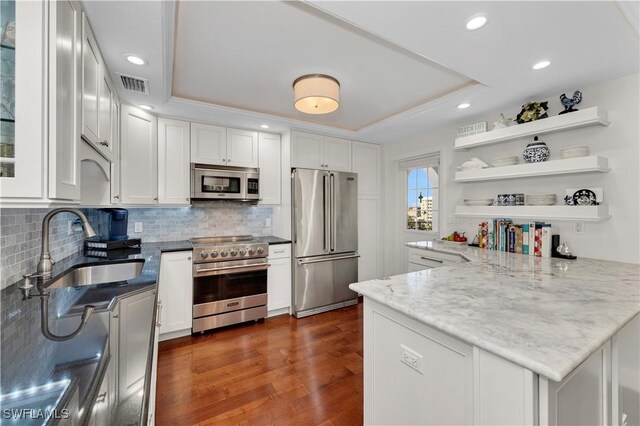 kitchen with sink, white cabinetry, light stone counters, premium appliances, and a raised ceiling