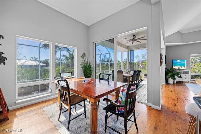 dining room with plenty of natural light, light hardwood / wood-style floors, and ceiling fan