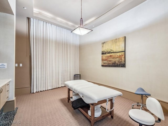 4931 Bonita Bay Blvd Unit 2103, Bonita Springs, FL 34134 - rec room featuring light colored carpet and a tray ceiling