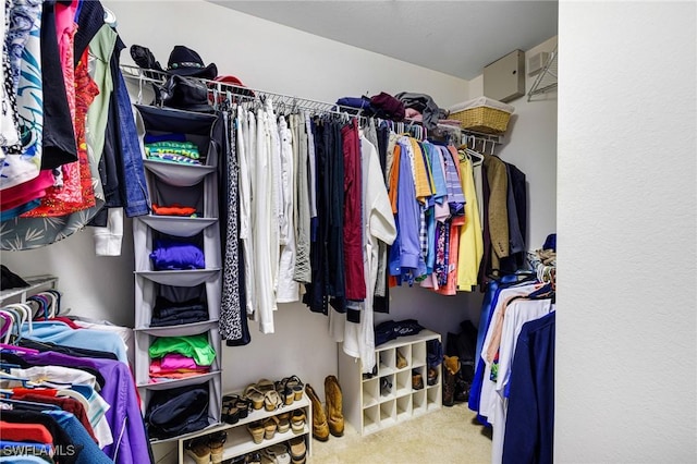 walk in closet with carpet floors