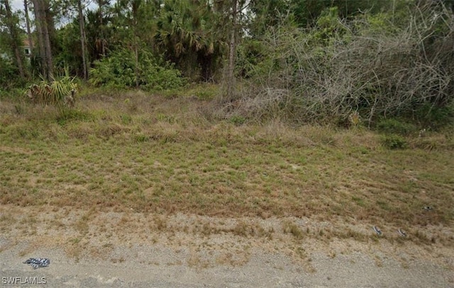 750 Milano Ave S, Lehigh Acres FL, 33974 land for sale