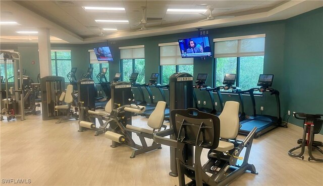 workout area with wood-type flooring and a drop ceiling