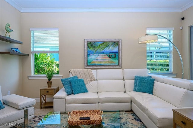 living room featuring crown molding