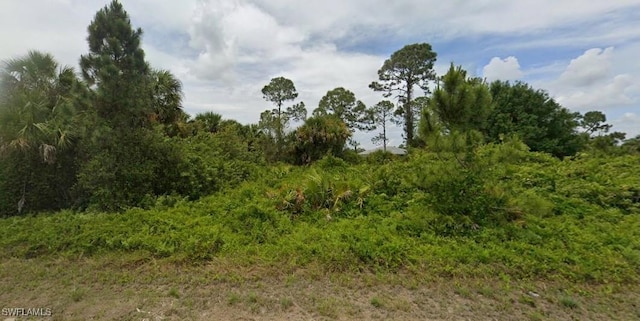 816 Milano Ave S, Lehigh Acres FL, 33974 land for sale