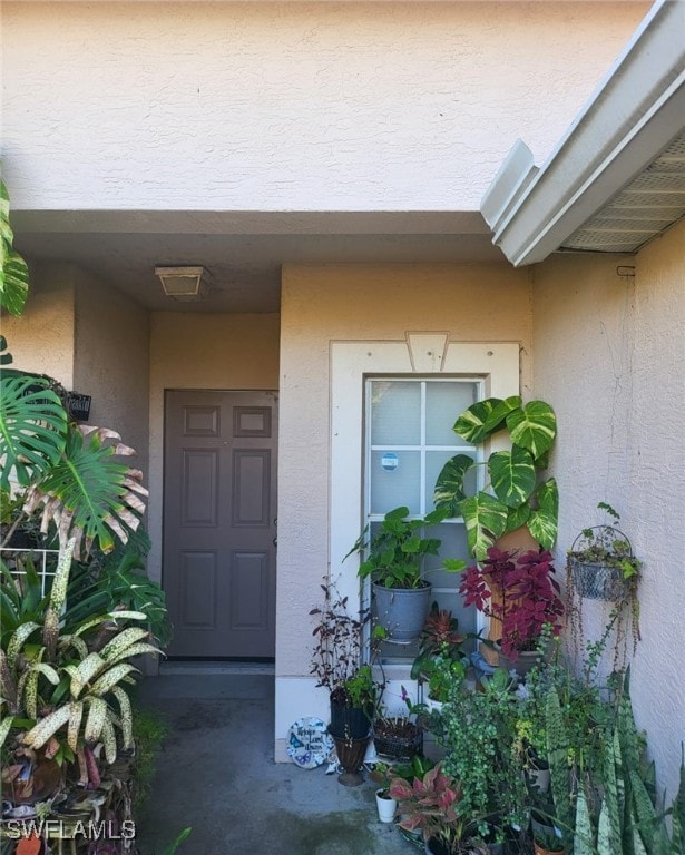 view of exterior entry with stucco siding