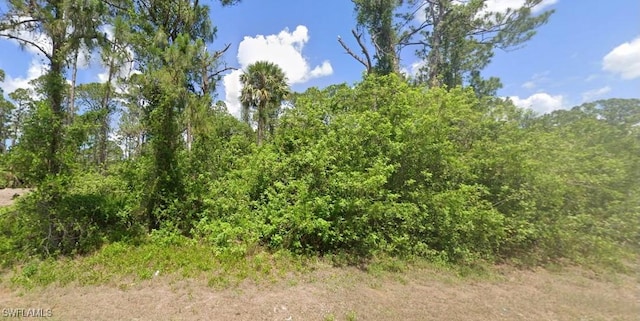 566 Parker Ave S, Lehigh Acres FL, 33974 land for sale