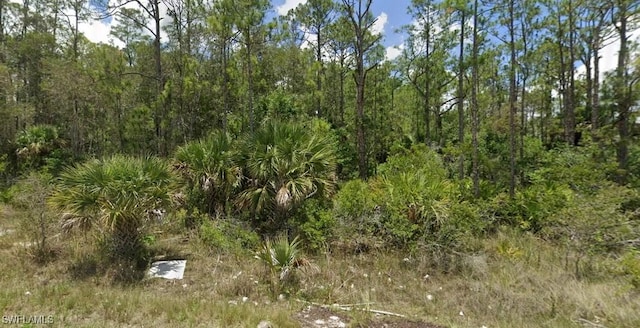 1917 Holyoke Ave, Lehigh Acres FL, 33972 land for sale