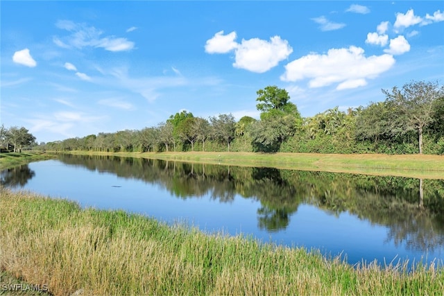 property view of water