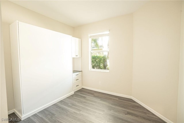 spare room featuring wood-type flooring