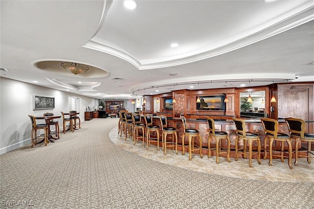 bar with light carpet and a tray ceiling