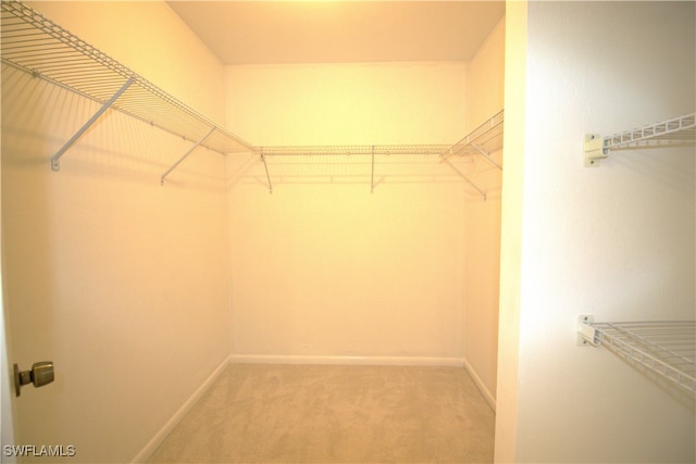 spacious closet with carpet flooring