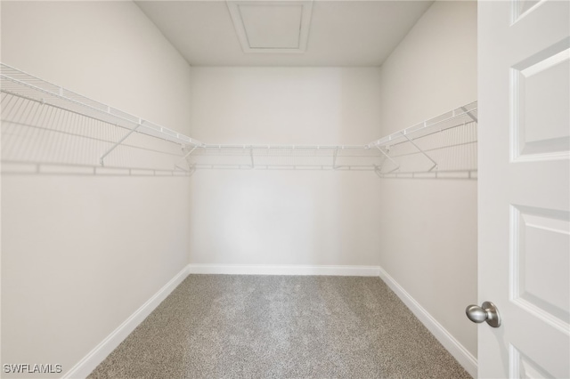 walk in closet featuring carpet