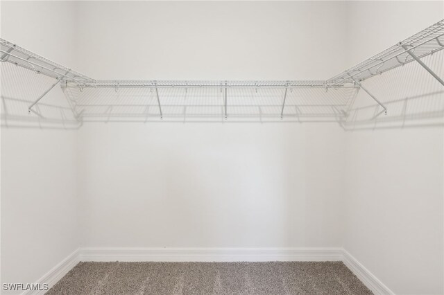 16672 Expedition Ct, Punta Gorda, FL 33982 - spacious closet with carpet floors