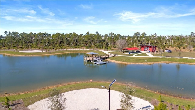 16672 Expedition Ct, Punta Gorda, FL 33982 - water view with a boat dock