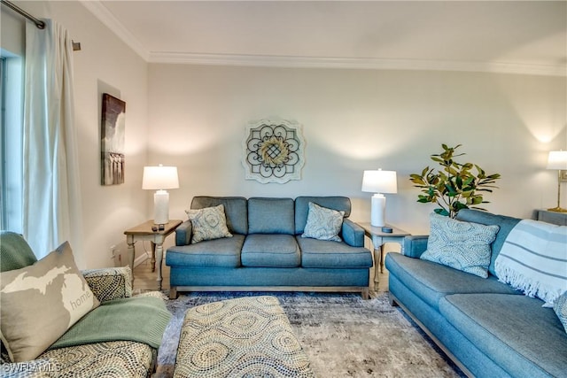 living room featuring crown molding