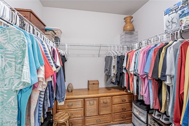 view of walk in closet