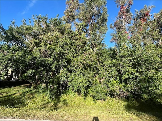 Porter St, Naples FL, 34113 land for sale