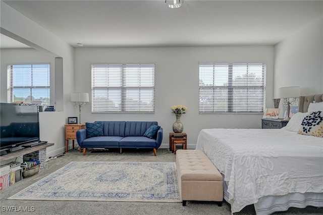 bedroom with carpet floors