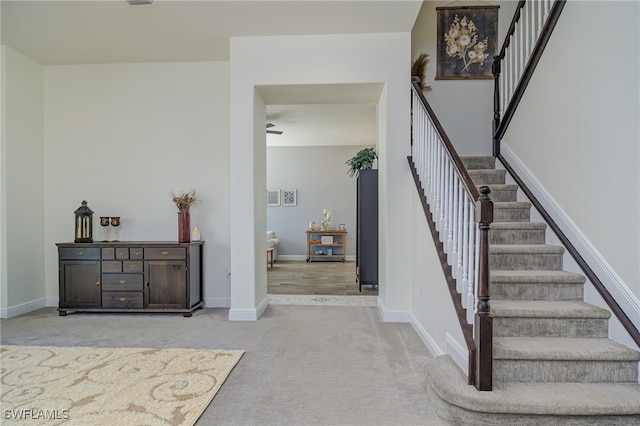 stairway with carpet flooring