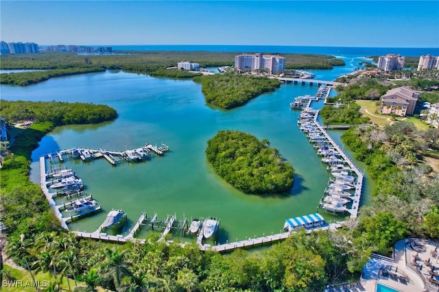 aerial view with a water view