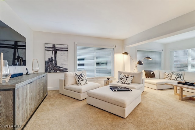 view of carpeted living room