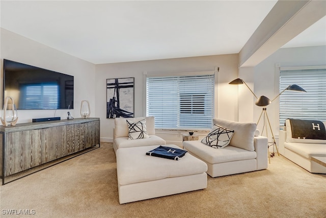 living room with carpet flooring