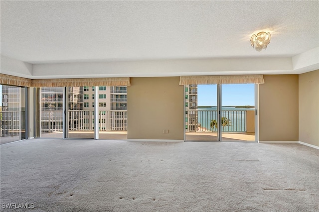 unfurnished room featuring carpet and a textured ceiling