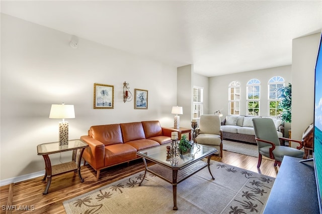 living room featuring hardwood / wood-style flooring