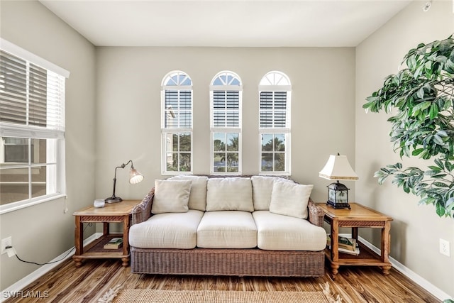 living area with hardwood / wood-style floors and a wealth of natural light