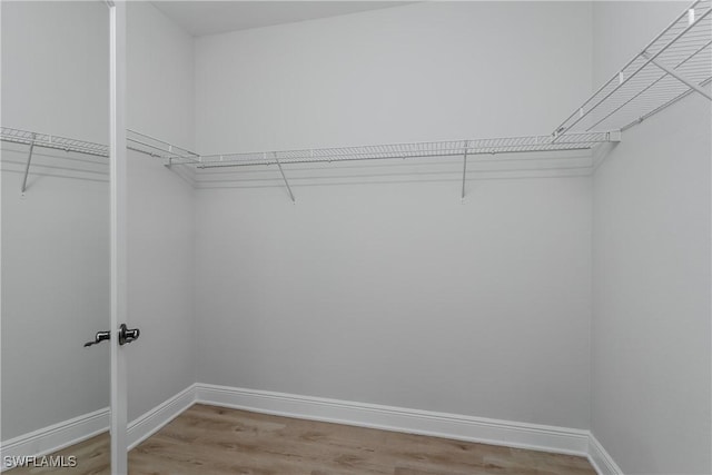 spacious closet featuring hardwood / wood-style floors