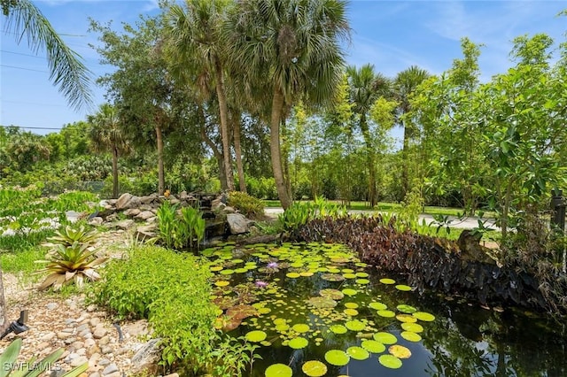 850 25th St SW, Naples, FL 34117 - view of yard