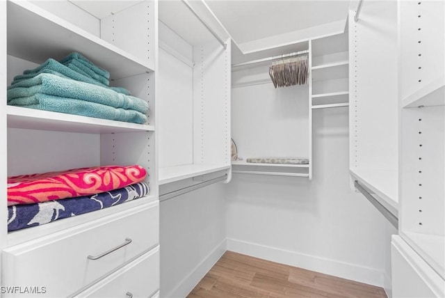 spacious closet featuring light hardwood / wood-style flooring