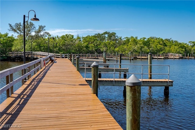 dock area with a water view