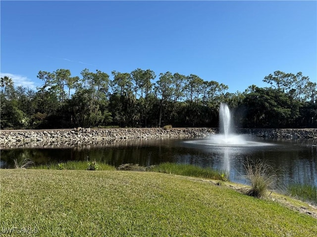 view of water feature