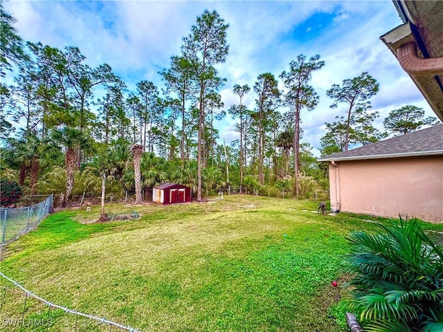 view of yard featuring a shed