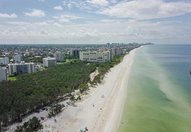 aerial view with a water view and a beach view