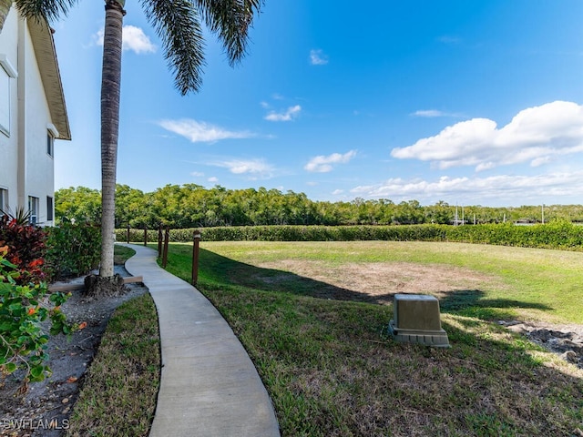 view of yard with a rural view