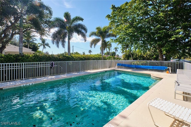 view of swimming pool