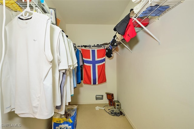 view of spacious closet