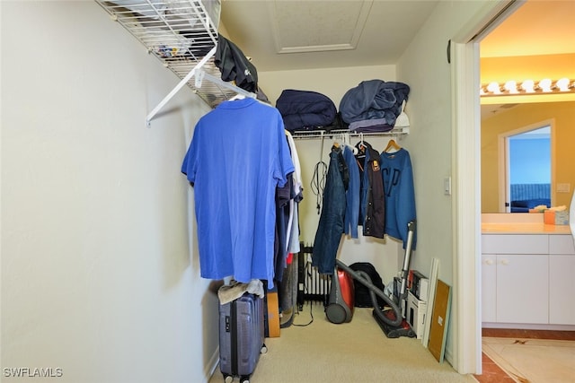 walk in closet featuring light carpet