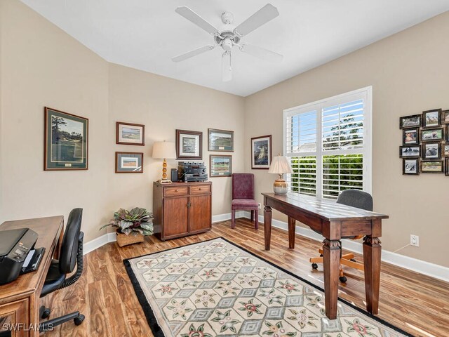 office area featuring ceiling fan and light hardwood / wood-style flooring