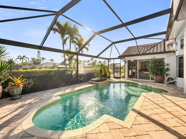 view of pool with a patio and a lanai