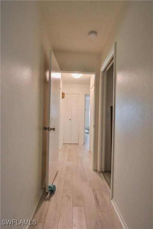 corridor featuring light hardwood / wood-style floors