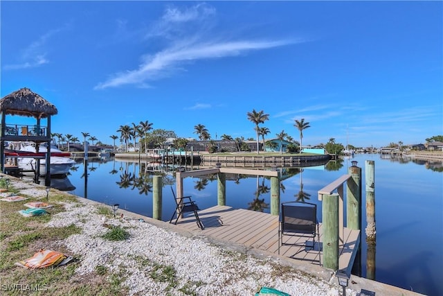 dock area with a water view