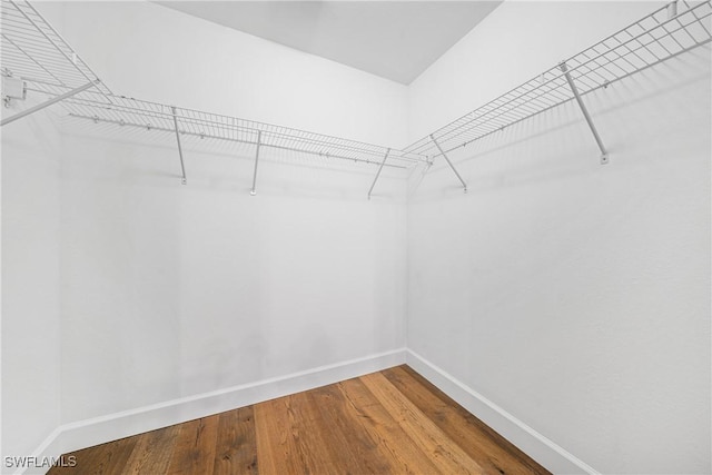 spacious closet featuring hardwood / wood-style flooring