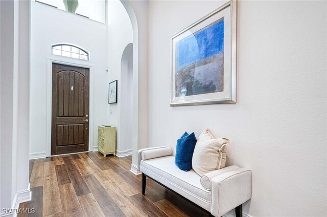 foyer featuring wood-type flooring