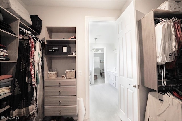 view of spacious closet