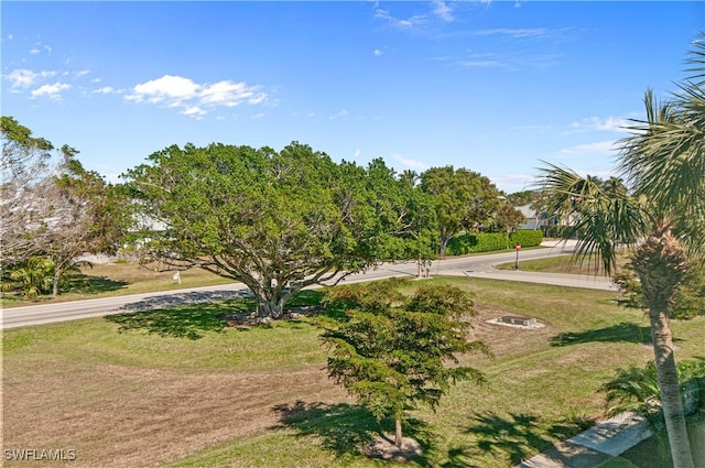 view of home's community featuring a yard